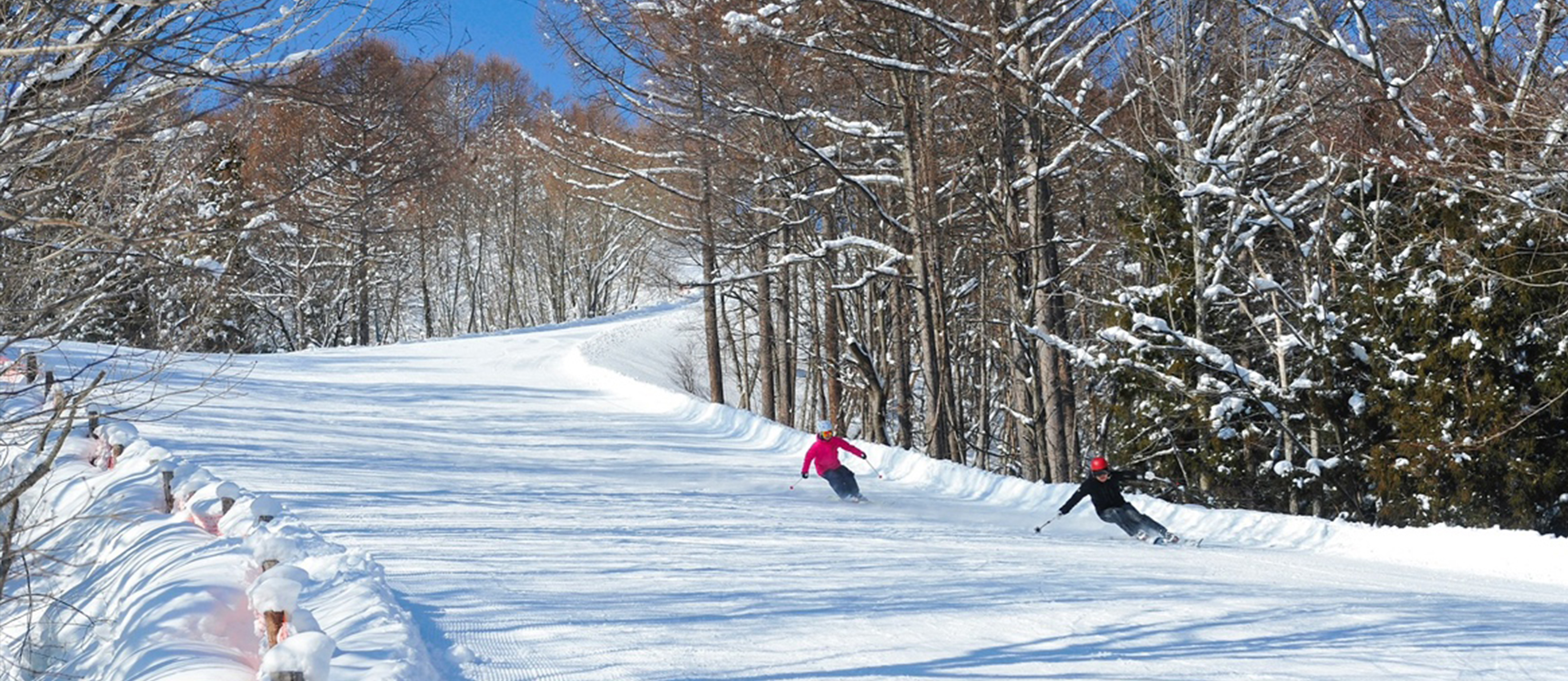 かたしな高原プライベートスキーツアー
