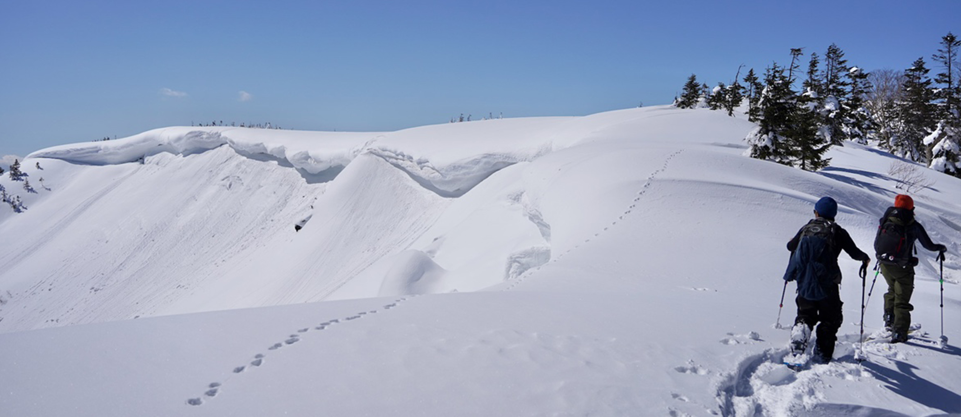 ナショナルパーク尾瀬プライベートキャットツアー