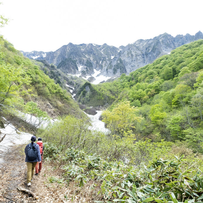新緑と雪、どちらも欲張りに。四季をまるごといただく谷川岳一ノ倉沢エコハイキング