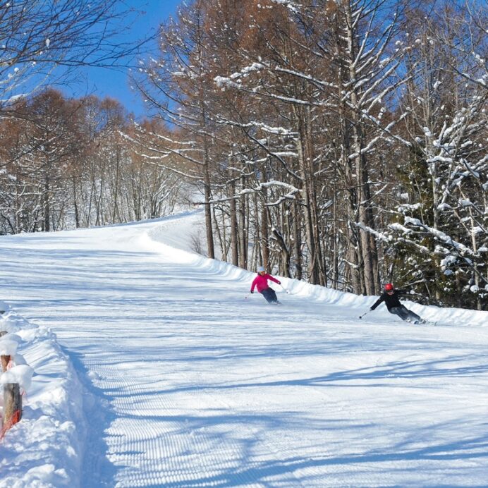 Katashina Kogen Private Ski Tour