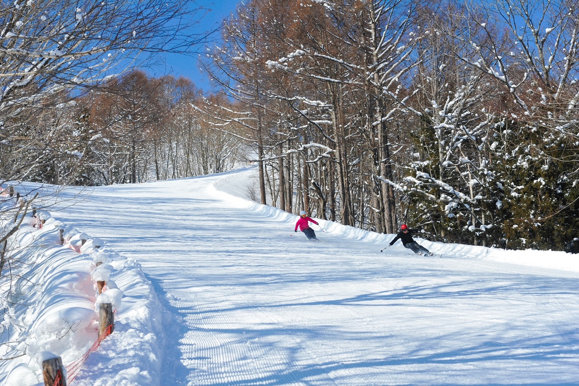 かたしな高原 プライベートスキーツアー