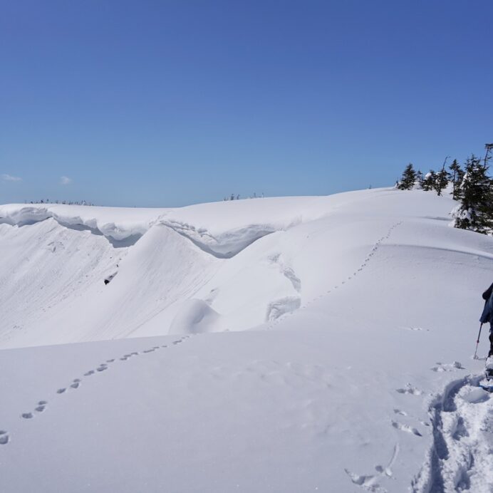 Oze National Park Private Snowcat Tour (Snowshoeing)