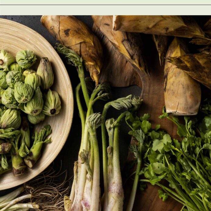 白井屋ホテルの最新情報「SHIROIYA the NEWS」2026年3.4月号をお届けします。